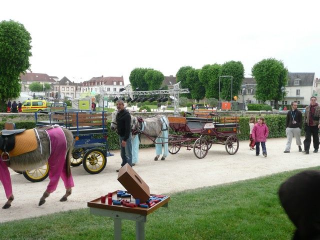rodho 2013 (33).jpg